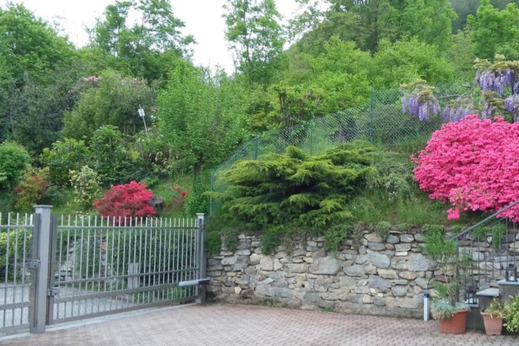 Lake Orta Openspace Garden Beach Pettenasco Extérieur photo